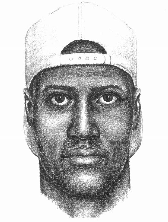 April 2016 Sexual Battery on Jeremys Landing Drive: Suspect Sought